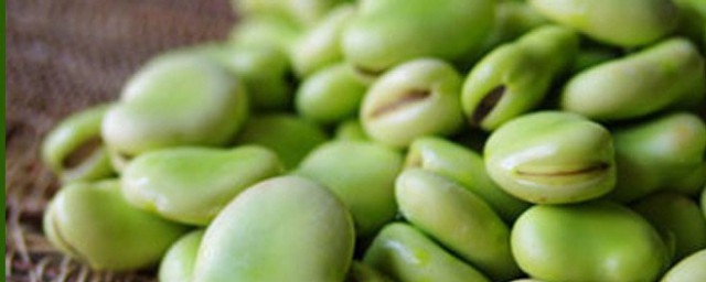如何储存青豌豆如何储存青豌豆