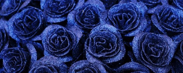 含义 十朵蓝玫瑰的含义是什么你了解吗？