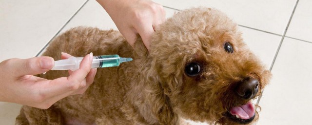 打完狂犬疫苗又被咬了咋办，原来打完狂犬疫苗又被咬了解决办法