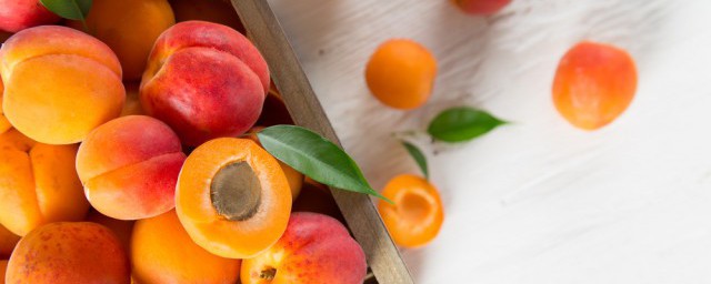 提高免疫力的水果有哪种;对于哪种水果提高免疫力介绍