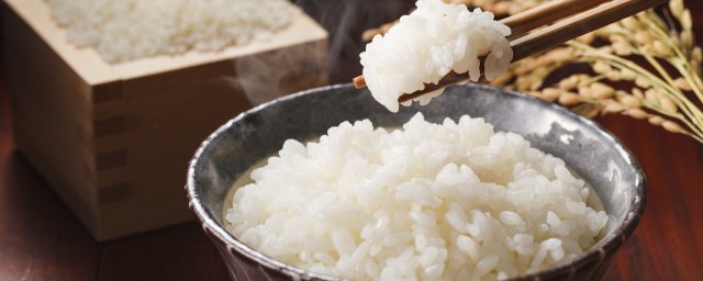 微波炉热米饭怎么能不硬，看完微波炉热米饭怎么能不硬