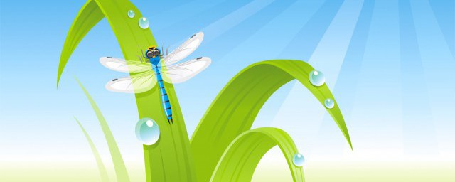 蜻蜓的生活习性介绍你了解吗？