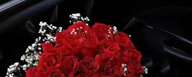 红玫瑰加满天星的花语是啥相关解释