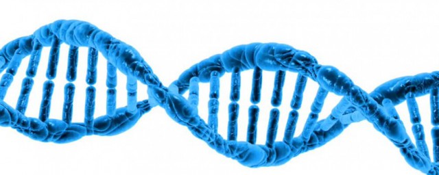 从性遗传和伴性遗传不同，看完从性遗传和伴性遗传不同
