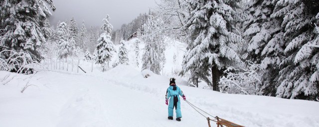 雪霁天晴是啥解释相关解释