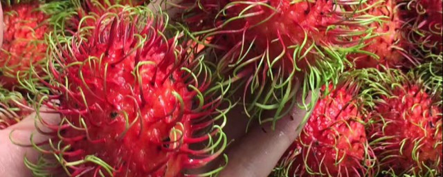 红牡丹水果是热性还是凉性，原来红牡丹水果是热性吗