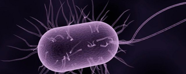 细菌性食物中毒定义及分类是啥怎样，细菌性食物中毒定义及分类好吗