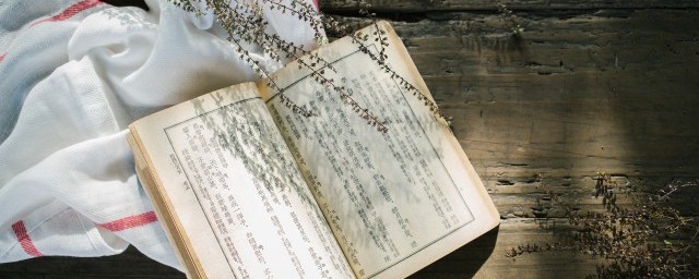 刘长卿著名的诗饯别王十一南游的诗句是啥相关解释