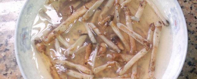 沙虫干可以做土笋冻吗怎样，沙虫干是不可以做土笋冻是不是好吗