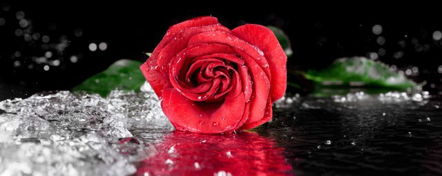 赠人玫瑰手有余香的英文是啥，原来赠人玫瑰手有余香英文介绍