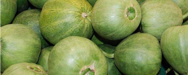 绿宝香瓜的籽能吃吗相关解释