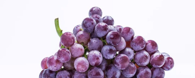 grape是啥解释;对于grape意思介绍