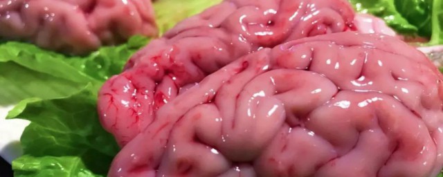 吃猪脑有什么好处和坏处相关解释