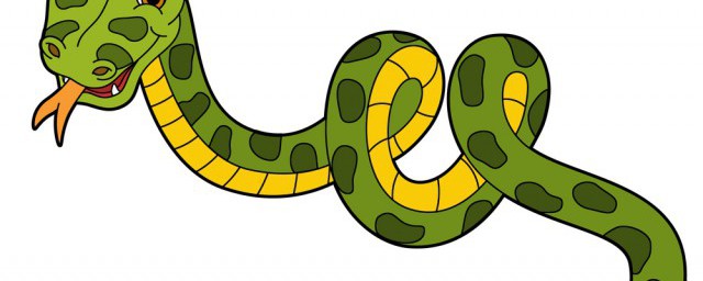 绿色的蛇介绍你了解吗？