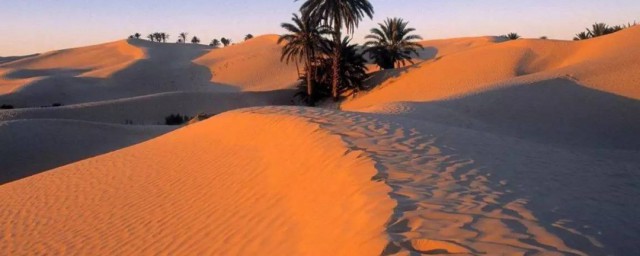 撒哈拉沙漠东西逼近海岸的原因分别是啥，原来撒哈拉沙漠东西逼近海岸的原因是啥