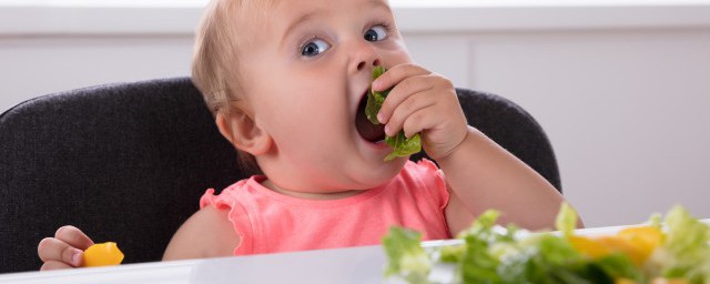 宝宝蔬菜粥怎么做好吃