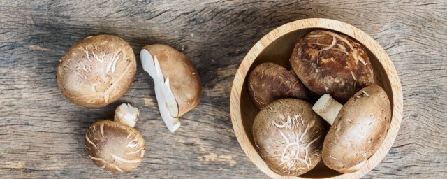 香菇粉的储存方法（湿香菇的储存方法）-华海博客