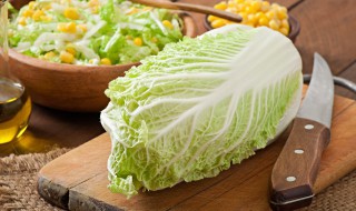  大白菜的腌制方法 怎样做腌制大白菜