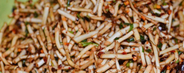 鱼腥草到底是什么
