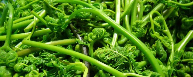 勾菜怎麽做好喫又簡單 勾菜的做法,第2張 勾菜怎麽做好喫又簡單 勾菜的做法,第2張