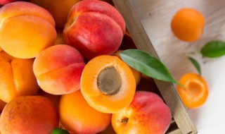 吃酸杏有什么好处 吃酸杏对身体有哪些好处