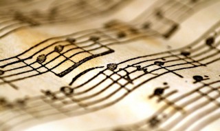 花开忘忧歌词 花开忘忧歌词简单介绍