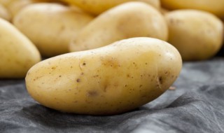 如何鉴别土豆的好坏 有什么方法鉴别土豆的好坏