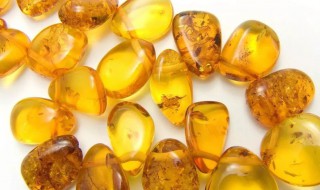 琥珀怎么看真假 琥珀如何辨别真假呢